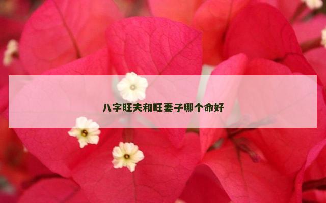八字旺夫和旺妻子哪个命好