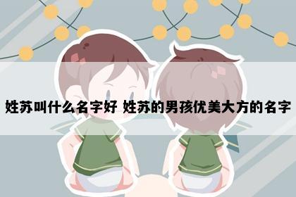 姓苏叫什么名字好 姓苏的男孩优美大方的名字