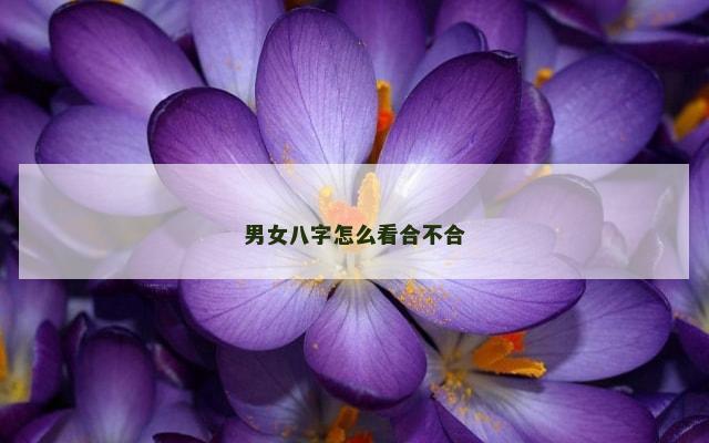 男女八字怎么看合不合