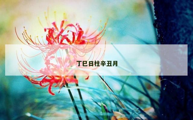 丁巳日柱辛丑月
