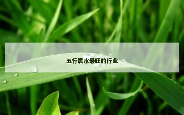 五行属水最旺的行业