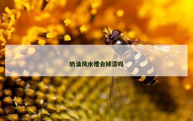 奶油风水槽会掉漆吗