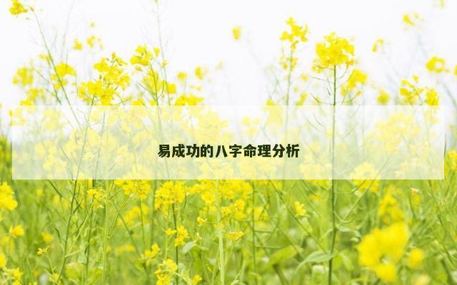 易成功的八字命理分析