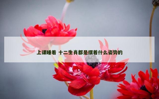 上课睡着 十二生肖都是摆着什么姿势的