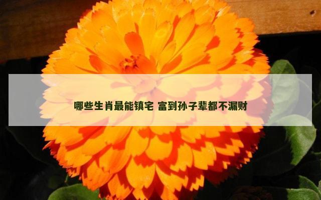 哪些生肖最能镇宅 富到孙子辈都不漏财