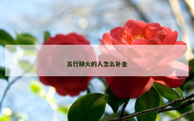 五行缺火的人怎么补金
