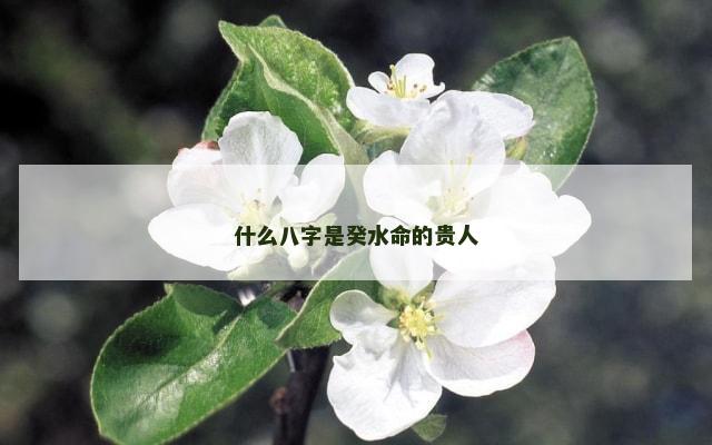 什么八字是癸水命的贵人