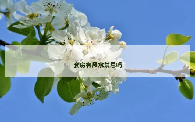 套房有风水禁忌吗