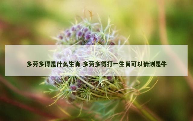 多劳多得是什么生肖 多劳多得打一生肖可以猜测是牛