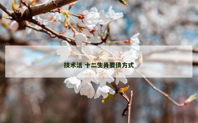 技术活 十二生肖要债方式