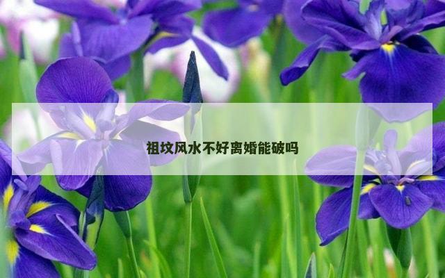 祖坟风水不好离婚能破吗