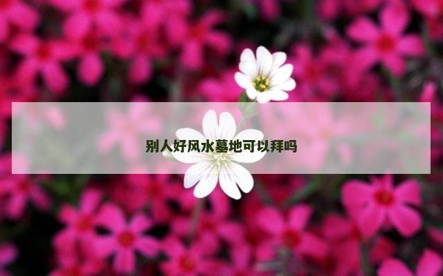 别人好风水墓地可以拜吗