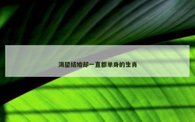 渴望结婚却一直都单身的生肖