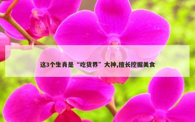 这3个生肖是“吃货界”大神,擅长挖掘美食