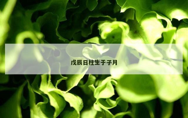 戊辰日柱生于子月