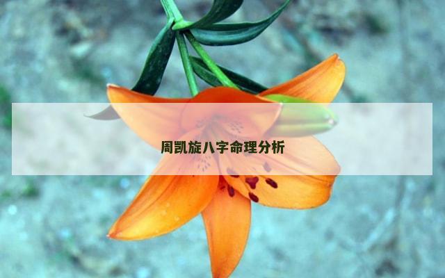 周凯旋八字命理分析