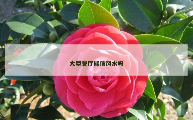 大型餐厅能信风水吗