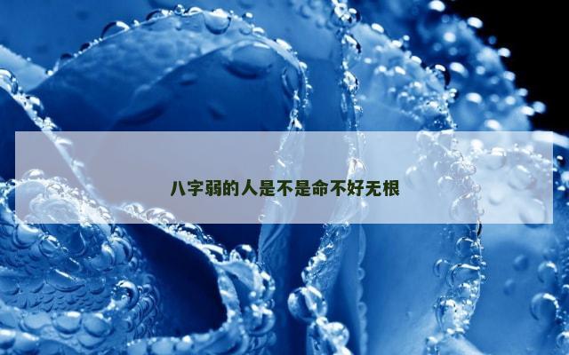 八字弱的人是不是命不好无根