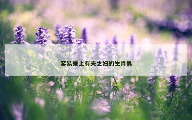 容易爱上有夫之妇的生肖男