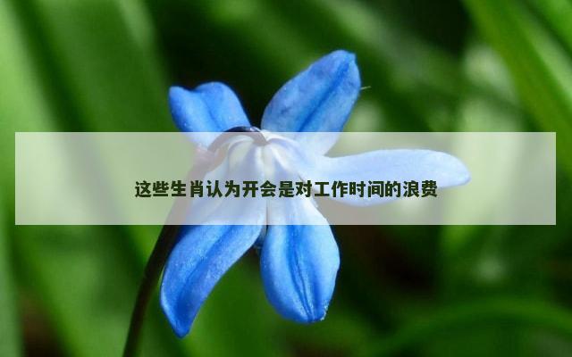 这些生肖认为开会是对工作时间的浪费