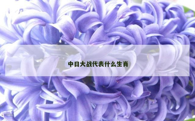 中日大战代表什么生肖