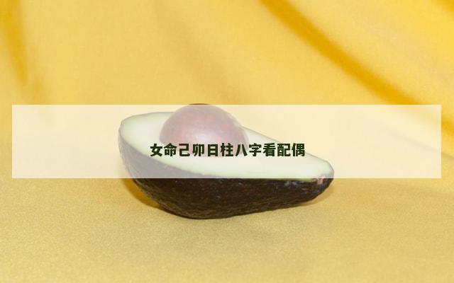 女命己卯日柱八字看配偶