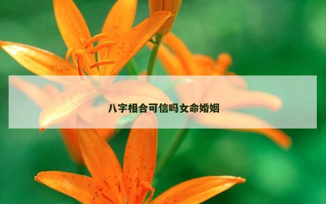 八字相合可信吗女命婚姻