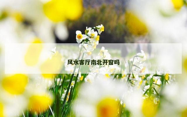 风水客厅南北开窗吗