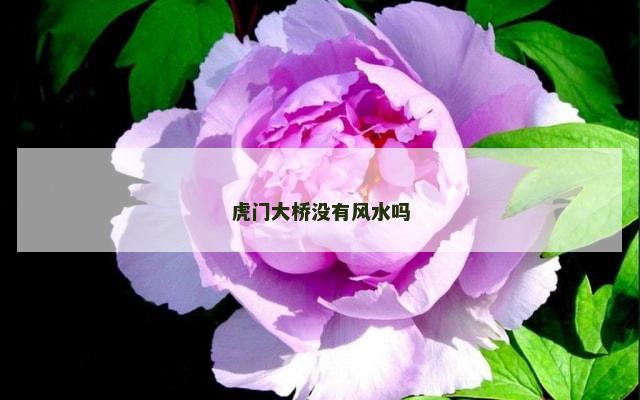 虎门大桥没有风水吗