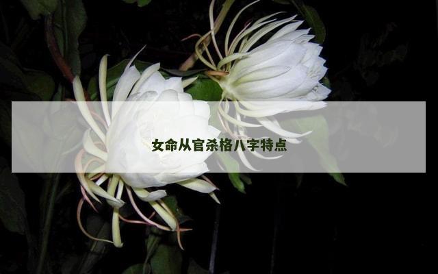 女命从官杀格八字特点