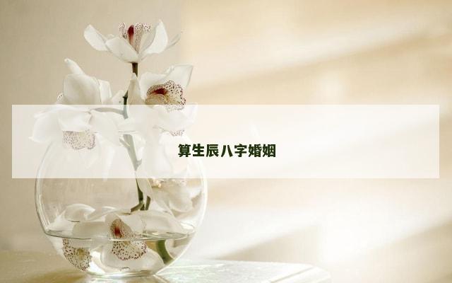算生辰八字婚姻