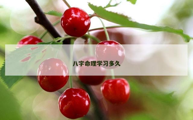 八字命理学习多久