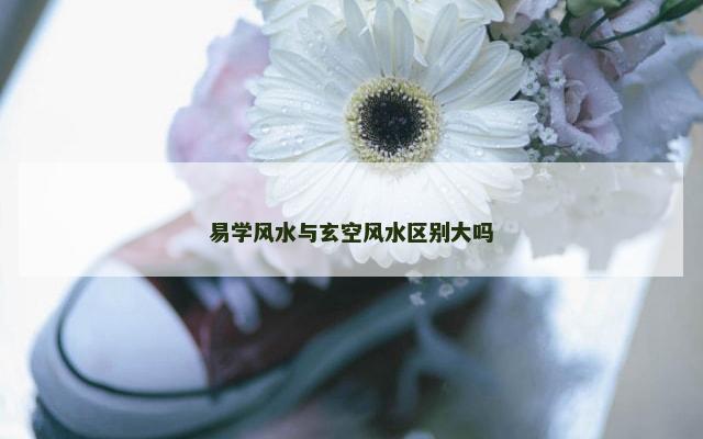 易学风水与玄空风水区别大吗