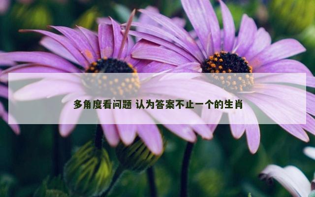 多角度看问题 认为答案不止一个的生肖