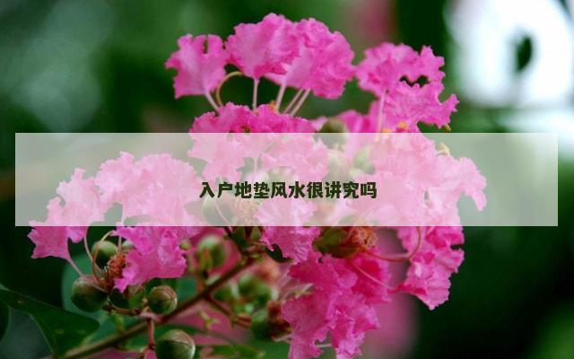 入户地垫风水很讲究吗