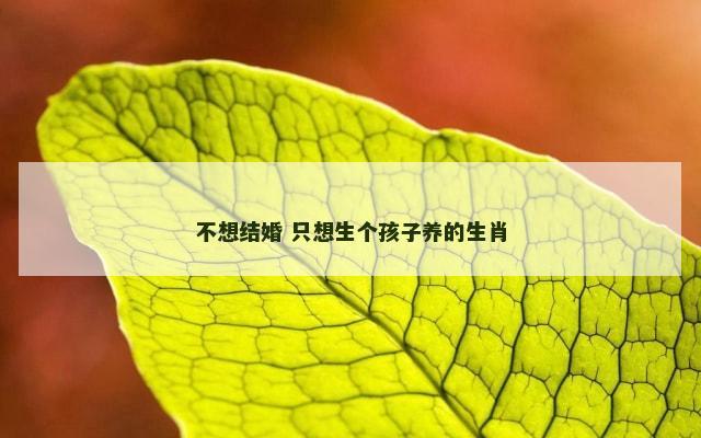 不想结婚 只想生个孩子养的生肖