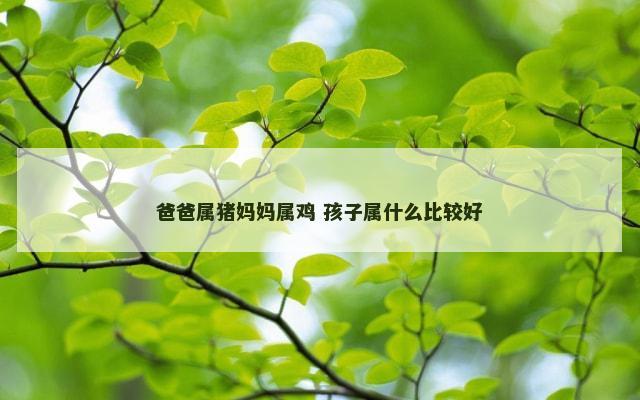 爸爸属猪妈妈属鸡 孩子属什么比较好