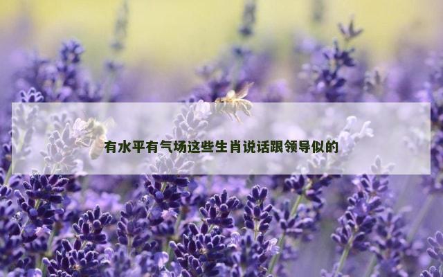 有水平有气场这些生肖说话跟领导似的
