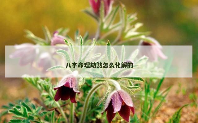 八字命理劫煞怎么化解的