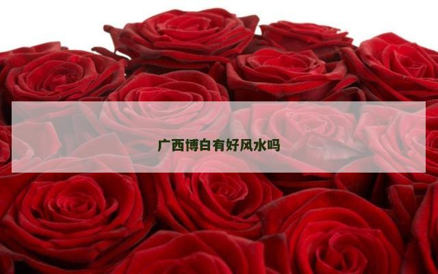 广西博白有好风水吗