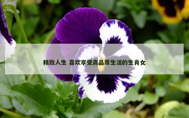 精致人生 喜欢享受高品质生活的生肖女