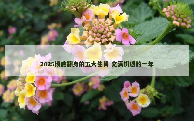 2025彻底翻身的五大生肖 充满机遇的一年