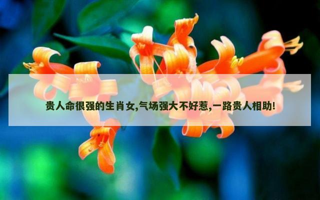 贵人命很强的生肖女,气场强大不好惹,一路贵人相助!