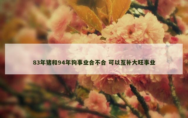 83年猪和94年狗事业合不合 可以互补大旺事业