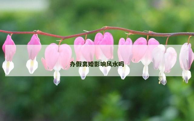 办假离婚影响风水吗