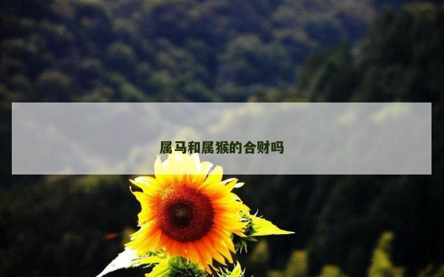 属马和属猴的合财吗