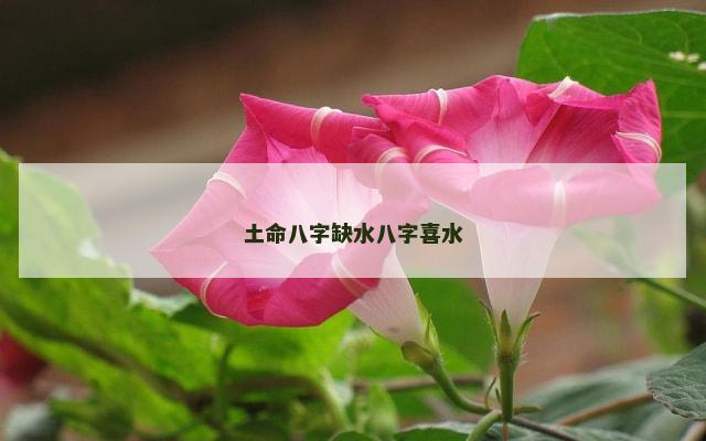 土命八字缺水八字喜水