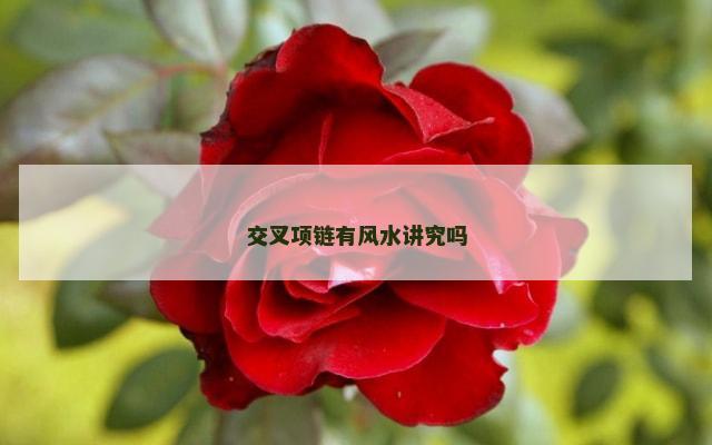 交叉项链有风水讲究吗