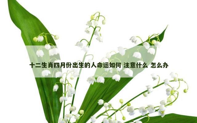 十二生肖四月份出生的人命运如何 注意什么 怎么办