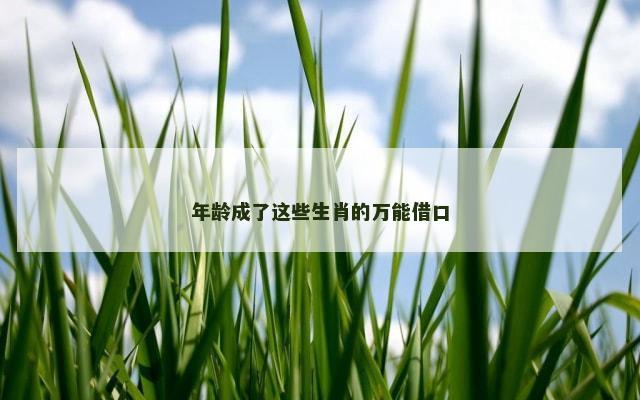年龄成了这些生肖的万能借口